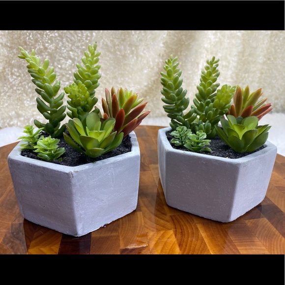 Faux succulents, 3-4 in 2”H hexagon shaped pots (2 available for purchase) - Picture 11 of 14